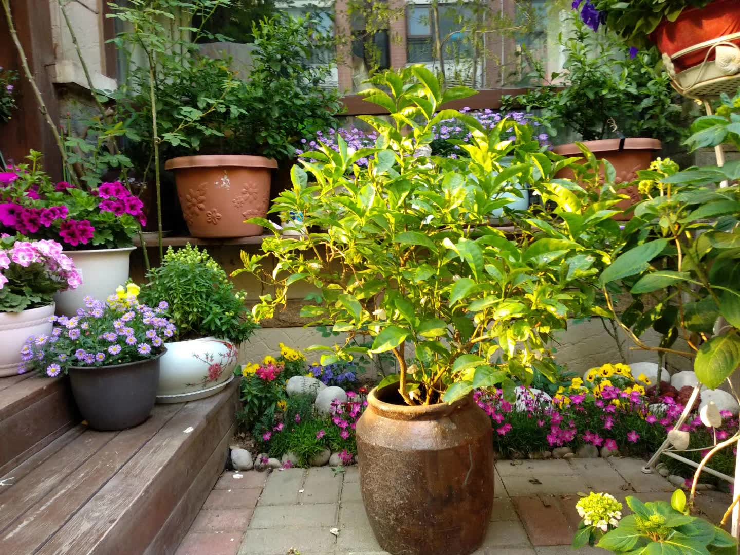 藤编花环