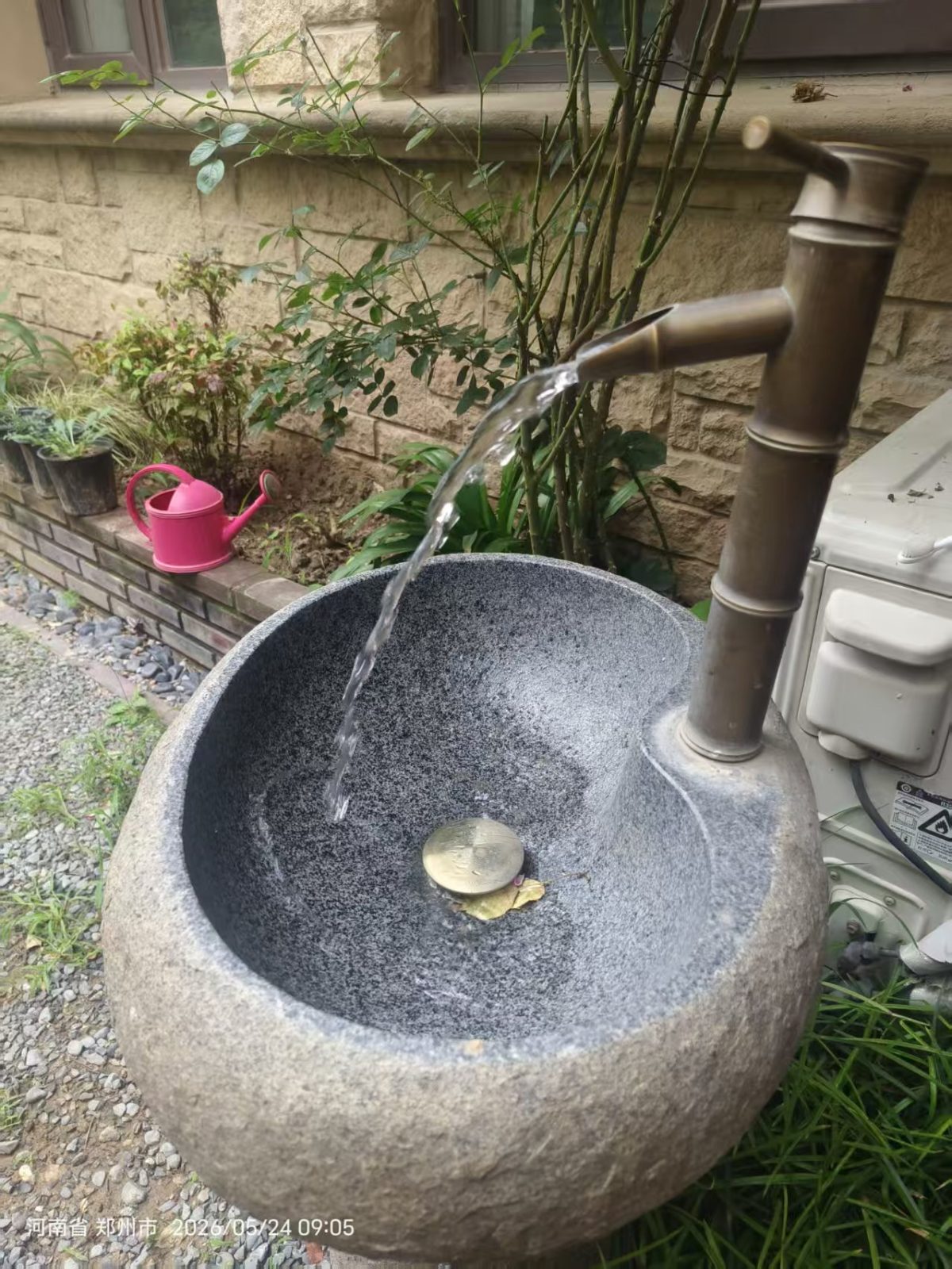 小院随拍