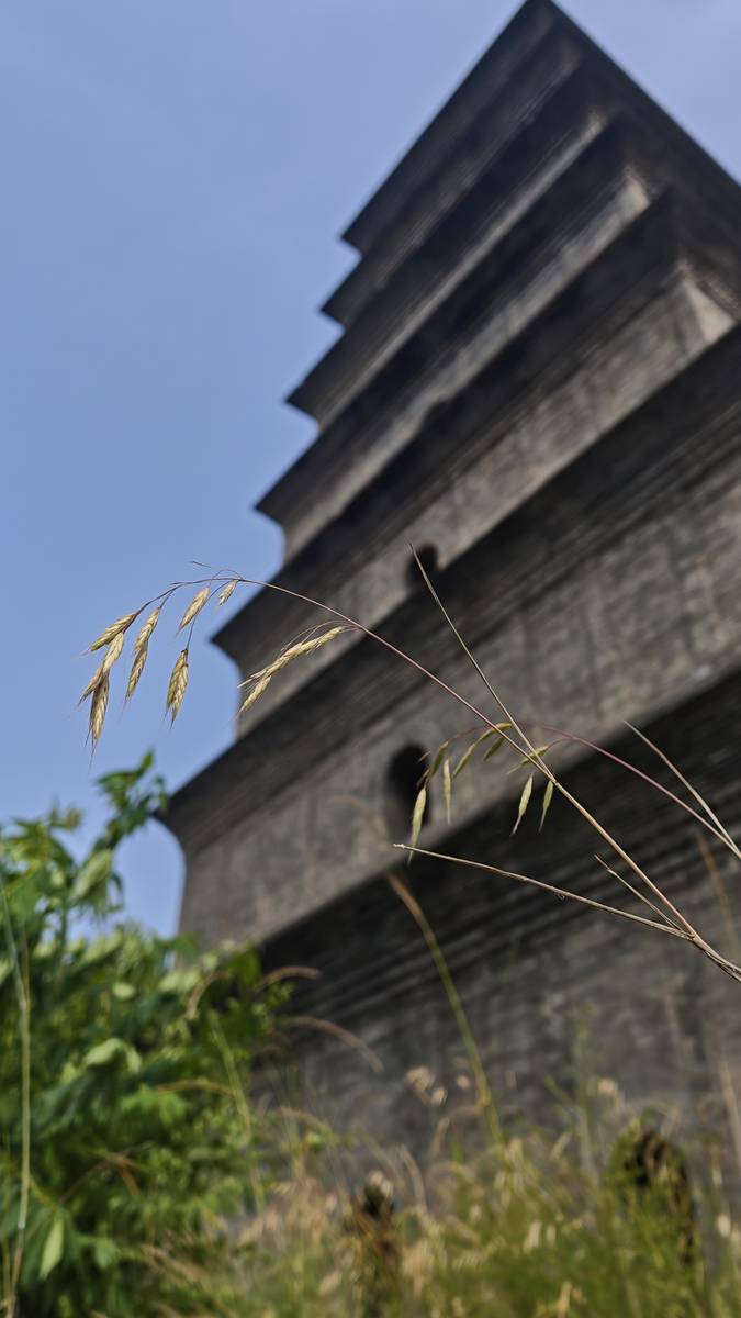 林间小径