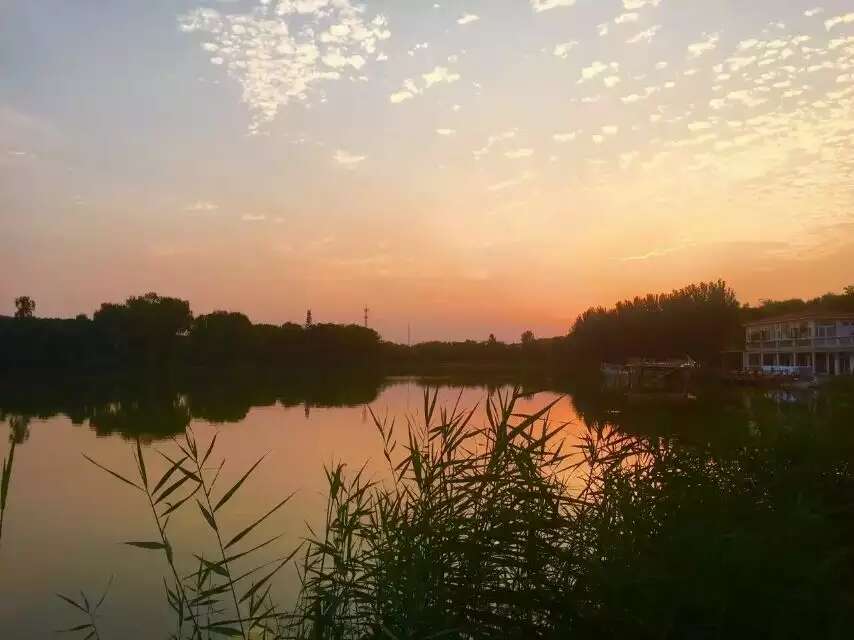 春花