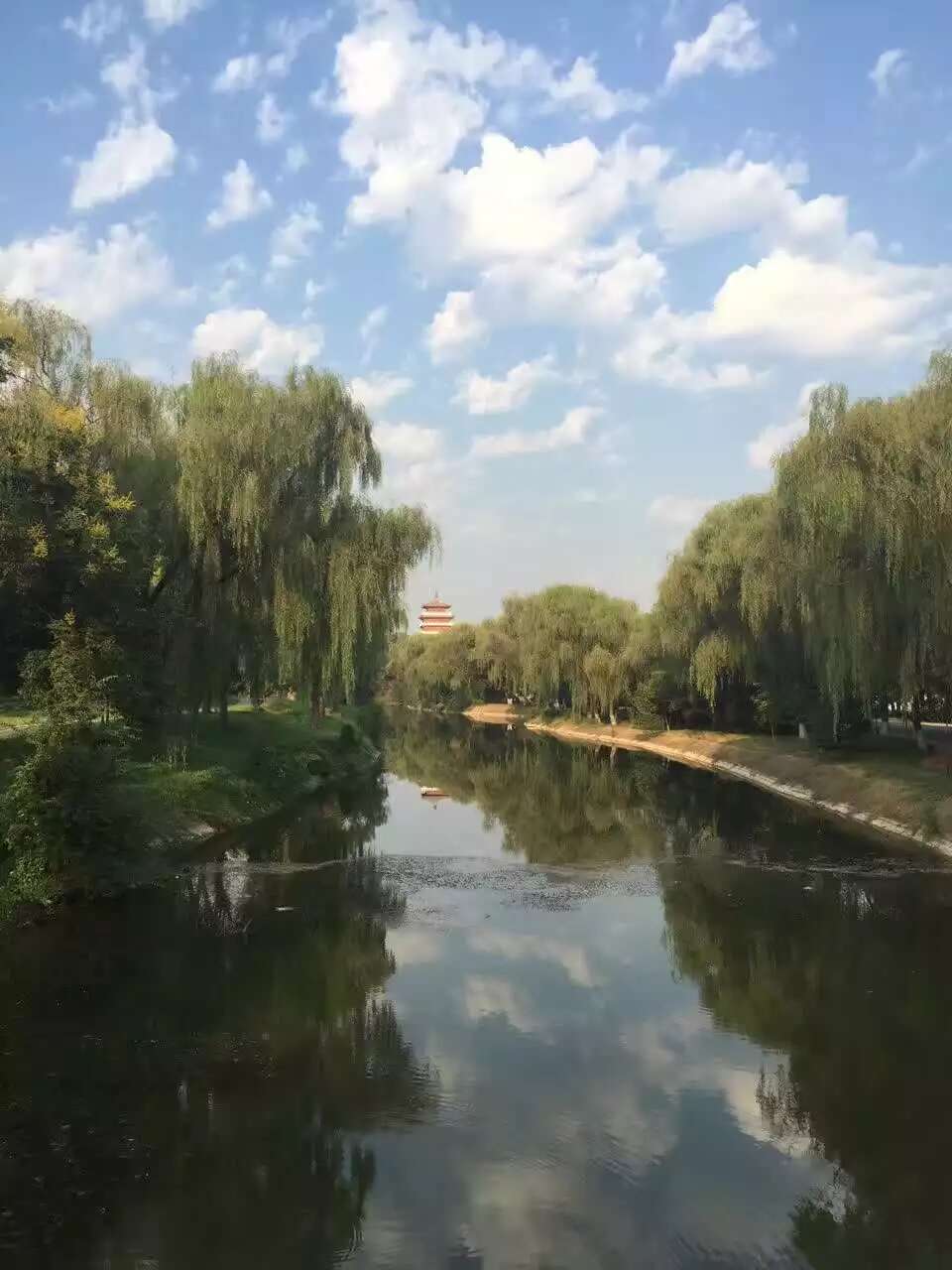 秋日果岭