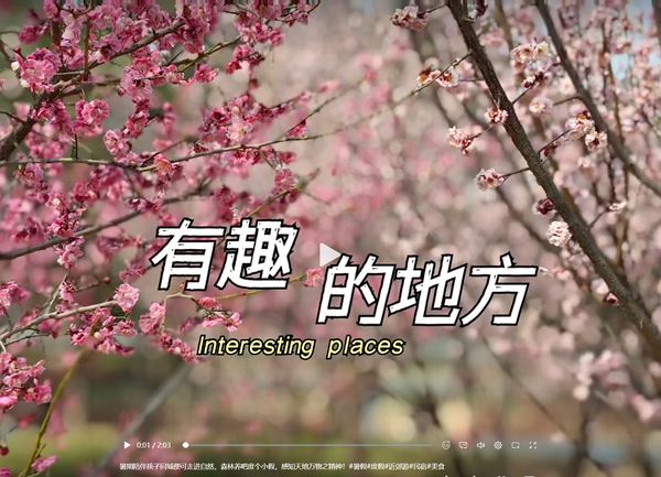 有趣的地方