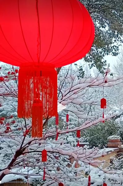 小院的雪